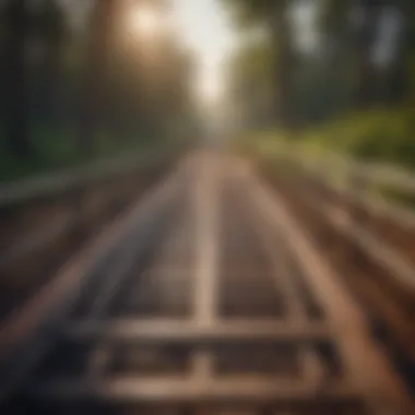 The Structure of a Cattle Guard A well-constructed cattle guard in a rural setting