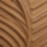 Detailed view of plywood layers showcasing grain patterns