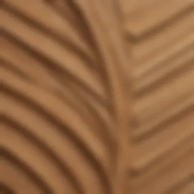 Detailed view of plywood layers showcasing grain patterns