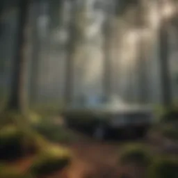 A serene forest landscape showcasing the beauty of sustainable forestry practices.