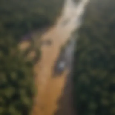 Aerial Perspective of Flood Impact on Forests Aerial view of a forested area affected by flooding