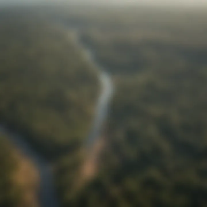 Map of Louisiana showing forestry regions