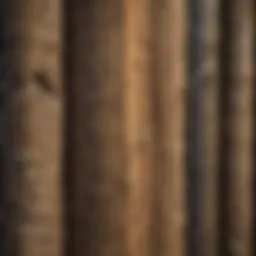 A close-up view of a well-installed pine fence post showcasing its texture and grain.