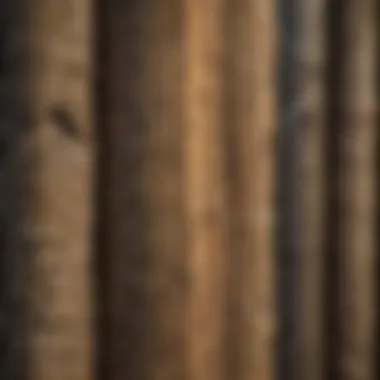Detailed Texture of Pine Fence Post A close-up view of a well-installed pine fence post showcasing its texture and grain.