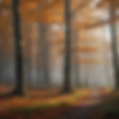 Forest Affected by Air Pollution A lush forest impacted by air pollution showing discolored leaves
