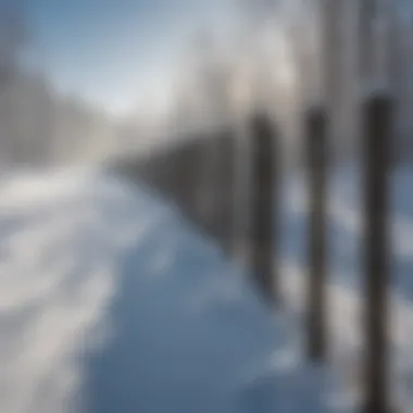 Ecosystem impact surrounding a snow fence