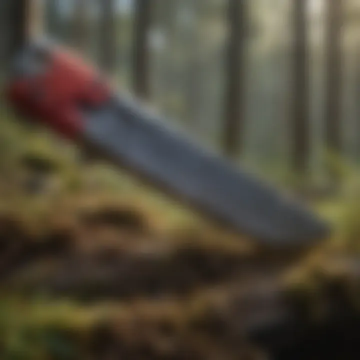 Tools and techniques used for sustainable forest thinning practices