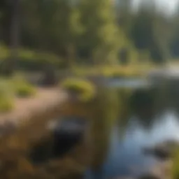 Tranquil Wyoming river with fishing gear