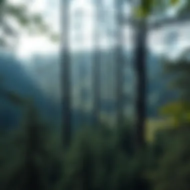 Analyzing Environmental Data for Forest Health Environmental data analysis for forest health assessments