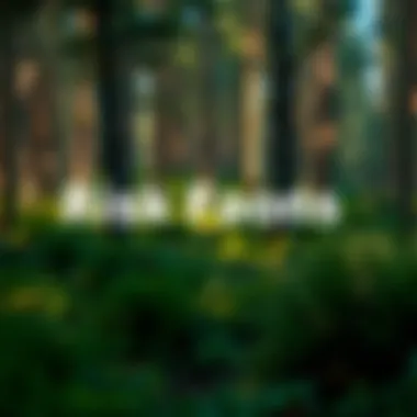 Risk Factors in Forestry Management Graphical representation of risk factors in forestry management