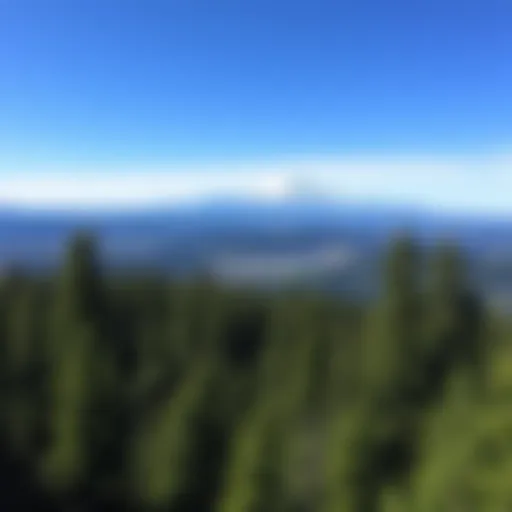 Scenic view of a Washington State park