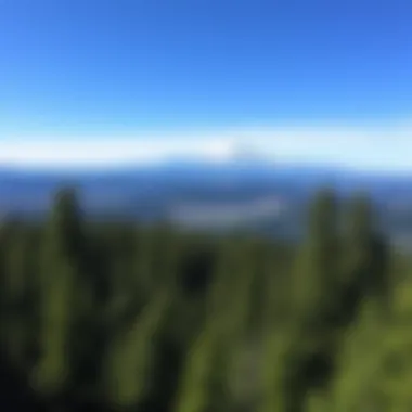 Breathtaking Landscapes of Washington State Parks Scenic view of a Washington State park