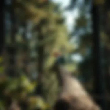 Notable When Is It Safe to Trim Trees: A Comprehensive Guide